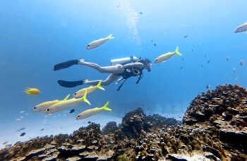 Дайвинг на Пхукете фото №4