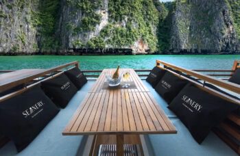 Luxury Catamaran №29