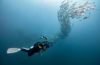 Дайвинг на Пхукете фото №9