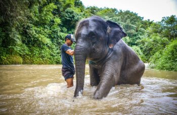 Экскурсия в провинцию Пханг Нга фото №17