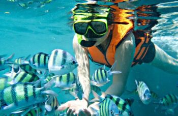 Премиум Катамаран фото №15