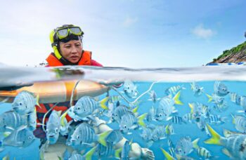 Премиум Катамаран фото №14