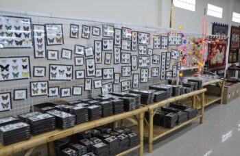 Крокодиловая ферма на Пхукете фото №3