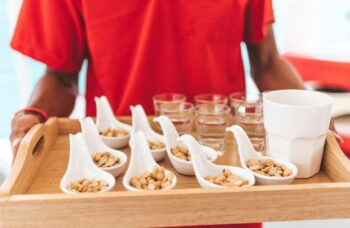 Катамаран Rainbow фото №9