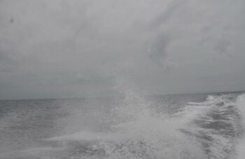 Остров Тачай фото №7